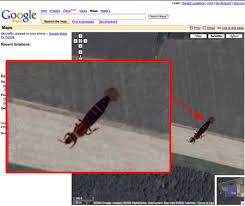 A Serious Google Maps Bug - via Daymix