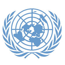 United Nations Declaration on - via Daymix