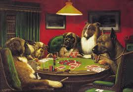 How many dogs - via Daymix