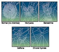 The Caffeine Web » NASA's - via Daymix