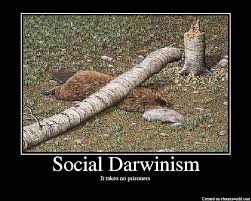 Social Darwinism - via Daymix