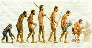 Human Evolution Links - via Daymix