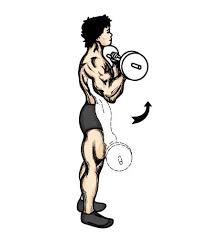 This is a standing bicep curl - via Daymix