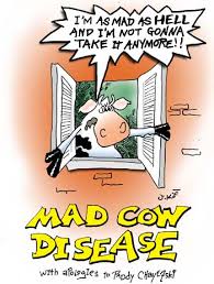 Mad Cow Mistakes - via Daymix