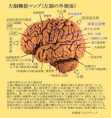 は子どもの発育途中の脳機能
