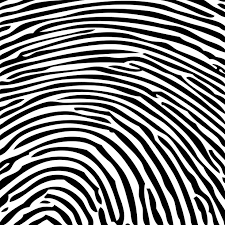 fingerprint studies. - via Daymix
