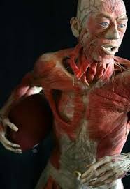 real human specimens, - via Daymix