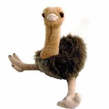 Gift an Emu to your kid