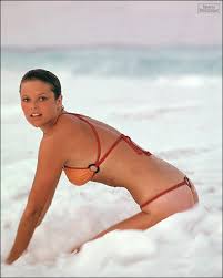 Christie Brinkley (born Christie Lee Hudson on February 2, 1954) is an American supermodel.