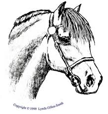 Native Pony Society of America