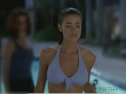 Image <b>Denise Richards</b> Picture