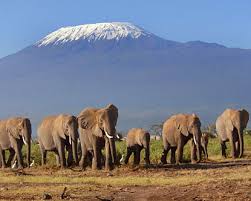 Mount Kilimanjaro - via Daymix