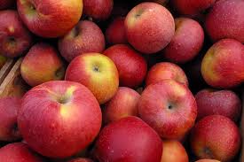 we discovered an apple - via Daymix