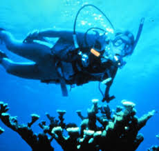 HowStuffWorks "How  Scuba  Works