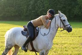 Hillsborough County 4-H Horse