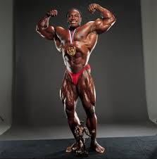     Haney s IFBB  Mr    Olympia   career    