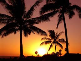 Kauai Luxury Vacation Rental - via Daymix