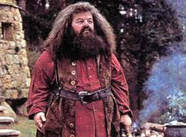 Robbie Coltraine jako Hagrid