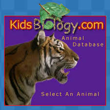 Select An  Animal   From Our Huge    
