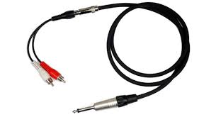 Phone to Dual RCA Cable.