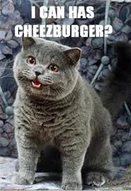 lolcats ("lol"="laugh out