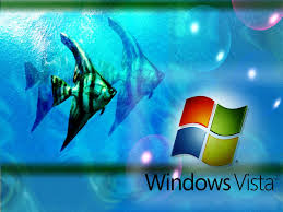 Image Windows Vista Aqua | Free Picture