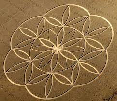 Crop circles - via Daymix