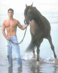 BOANA HORSE BACK RIDING