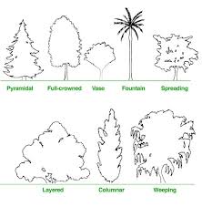 vase-shaped trees to - via Daymix