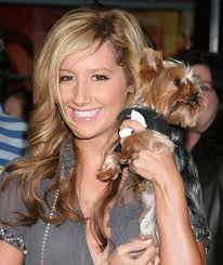 Image Musicals Ashley Tisdale Picture