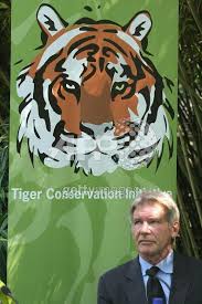 Image <b>Harrison Ford</b> Tiger Picture