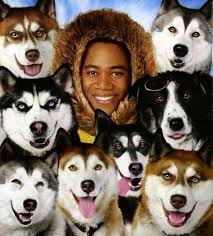 Image <b>Cuba Gooding Jr</b>. turned my dog Picture