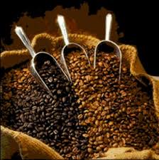 the IR-3000 Coffee Bean - via Daymix