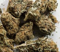Processed Marijuana Buds - via Daymix
