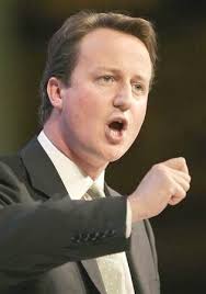 David Cameron icon