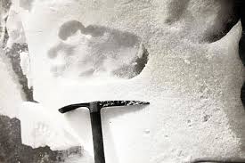 Yeti Footprint