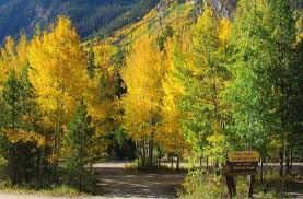 Autumn Fall Foliage Viewing - via Daymix