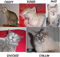 Home >> Myspace Funny Stuff - via Daymix
