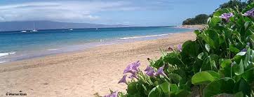 Hawaii Travel Guide - USA - via Daymix