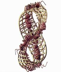 M�bius Strip II by M. C. Escher