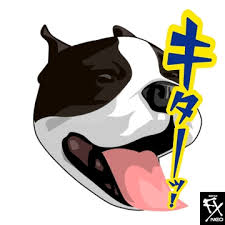 コレがキタ