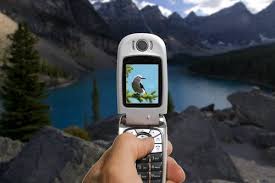 Cell phone camera helps catch - via Daymix