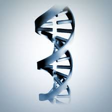 BioLaw Law and the Life Sciences