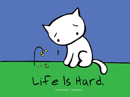   sad   kitty jpg