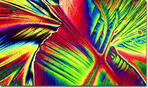 Image <b>Dixie</b> Beer Picture