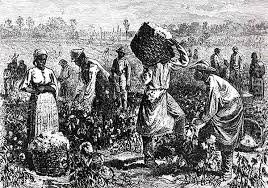 slaves
