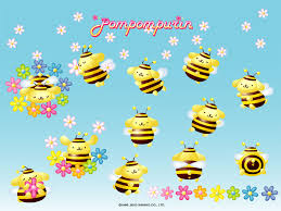 Pom Pom Purin