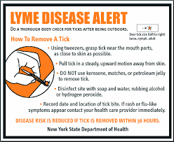 Tick &amp;  Lyme Disease 