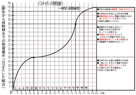 改訂版＜スキャモン