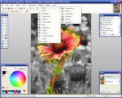 Paint.NET - free photo editor - via Daymix